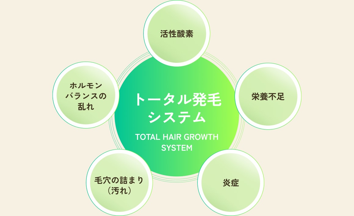 薄毛の根本原因にまとめてアプローチするトータル発毛システム